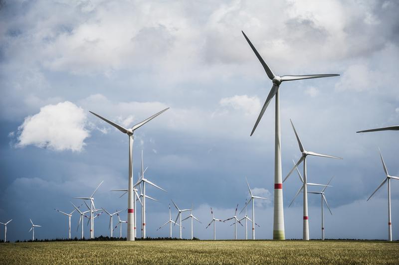 Windräder in Treuenbrietzen, Brandenburg