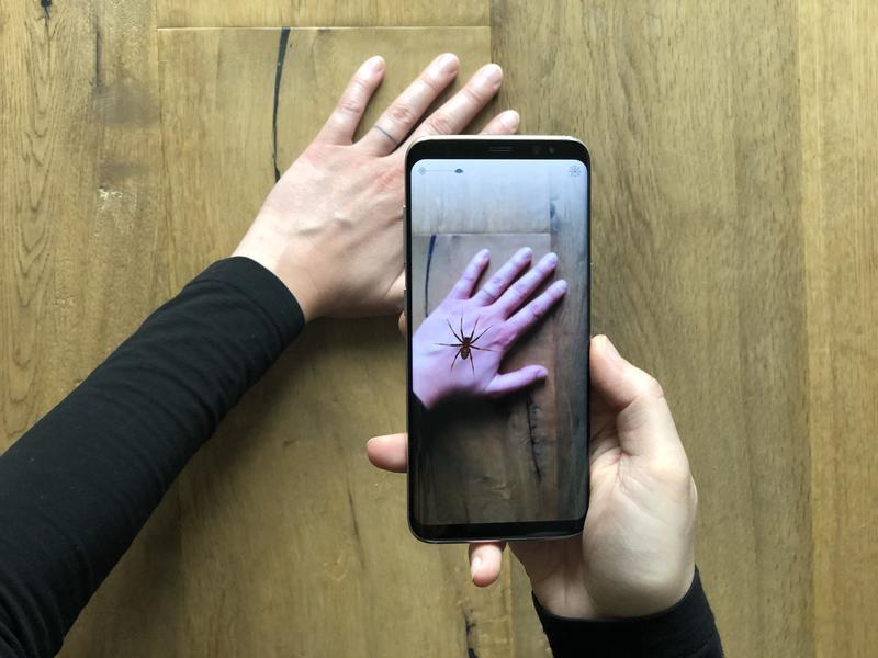 Mit der App Phobys können Menschen mit Spinnenphobie die Begegnung mit einer virtuellen Spinne trainieren.