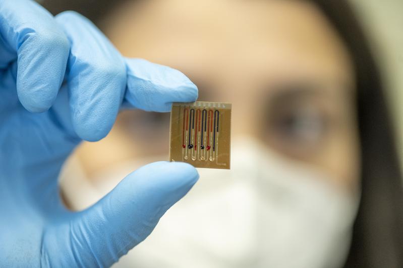 Der Mikrofluidik-Multiplex-Biosensor trägt auf einem Polymerfilm befestigte Proteine, die die Antibiotika erkennen.