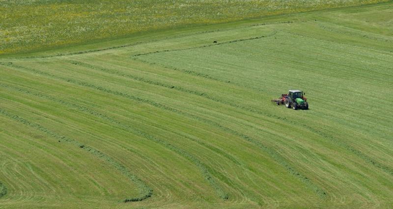 Die Zukunft dieser Ökosysteme sieht schlecht aus, sollten keine Maßnahmen ergriffen werden, um die Degradierung der Grasländer aufzuhalten und ihre Renaturierung zu fördern