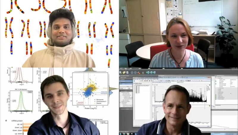 (v.l.n.r.) Die Wissenschaftler Narendra Chunduri, Zuzana Storchova, Paul Menges und Markus Räschle diskutieren das Projekt während einer Zoom-Videokonferenz.