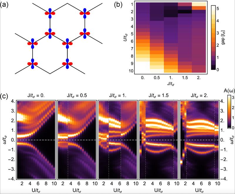 Ladungslücke, die in verdrehtem MoS₂ bei der Verkleinerung des Winkels entsteht (Erhöhung von U/t). Wenn die Ladungslücke zunimmt, werden die magnetischen Phasen stabilisiert. Dies wiederum führt zu einem exotischen Quantenmagnetismus in verdrehtem MoS₂.