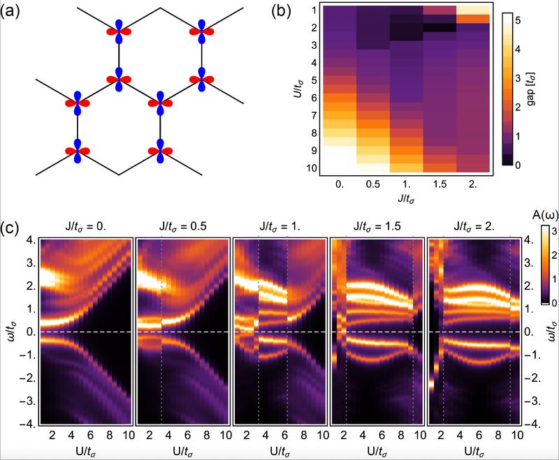 Charge gap emerging in twisted MoS₂ upon decreasing the twist angle (increasing U/t). As the charge gap grows, magnetic phases are stabilized. This in turn gives rise to exotic quantum magnetism in twisted MoS₂.