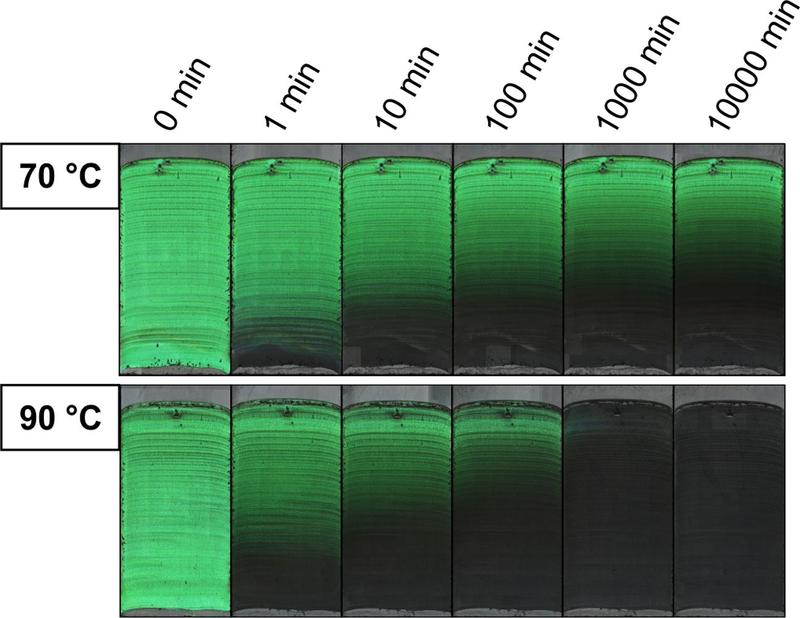 Two colloidal crystal gradients exhibiting the time-dependent loss of color when exposed to two different temperatures. 