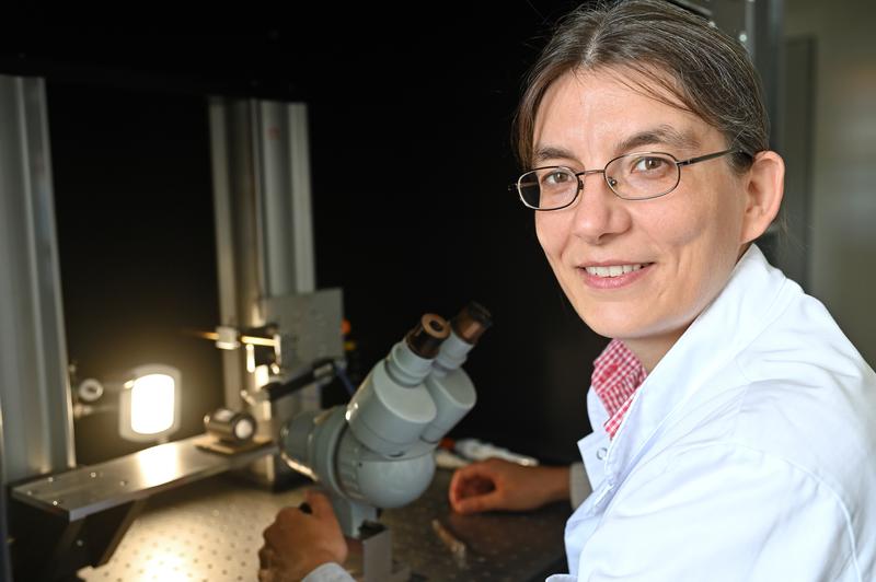 Als Heisenbergprofessorin am Universitätsklinikum Jena erforscht Indra Schröder die Biophysik von Ionenkanälen.