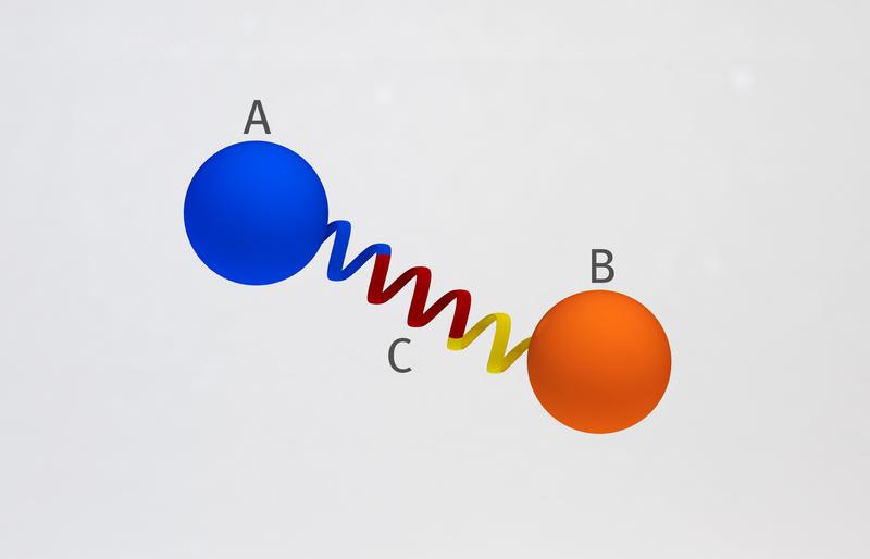 Prinzip der am PSI entwickelten Eiweissbrücke: Zwei Proteine (A und B) sind durch eine starre Proteinspirale (C) in festem Abstand und Winkel miteinander verknüpft. So können sie sich nicht nahekommen und nicht miteinander interagieren.