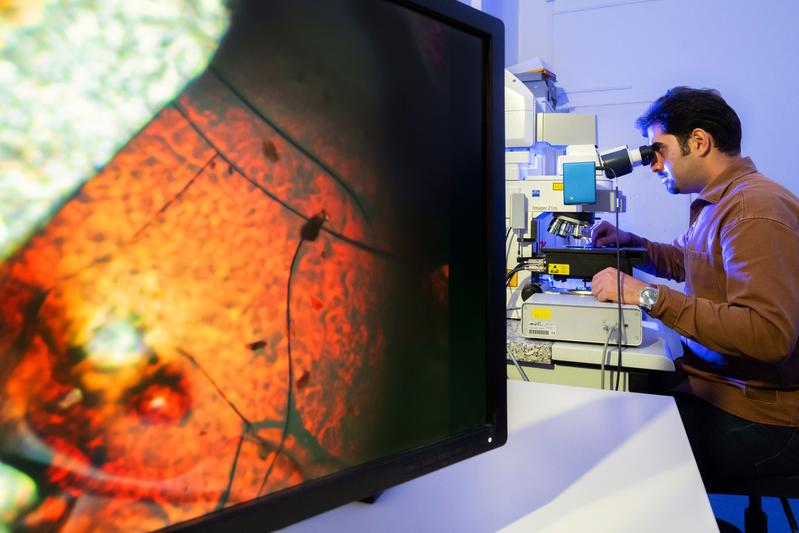 Vahid Nozari at the University of Jena uses a microscope to examine the new synthetic glass, which consists of a non-fusible metal-organic framework (MOF) compound.