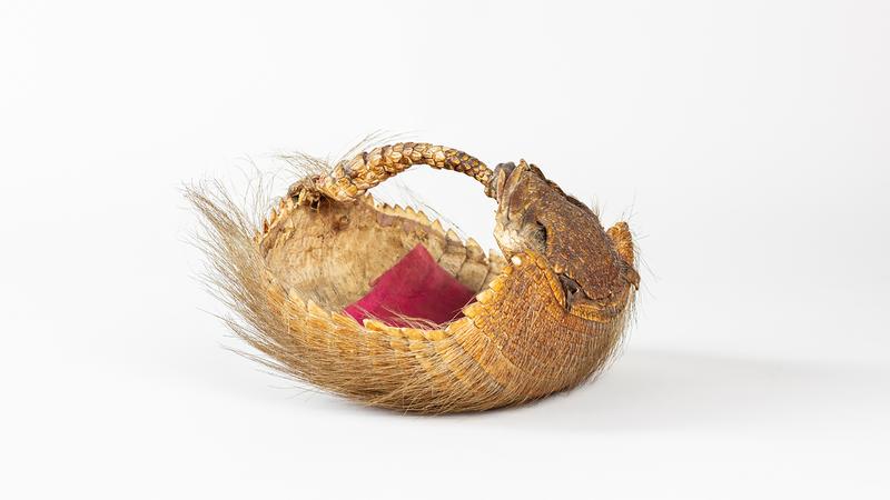 Probably sewing basket, 20th century, South America, armadillo carapace.
