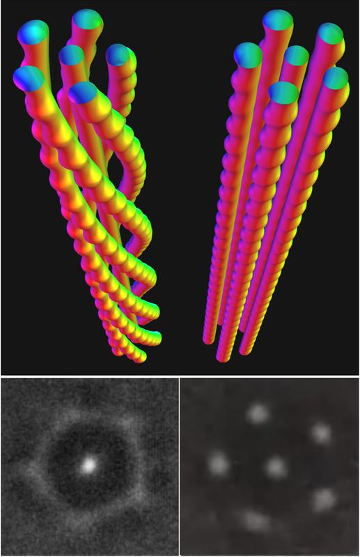 Skyrmionen-Fäden: Oben simulierte Modelle von jeweils sechs Skyrmionen bei unterschiedlichen Magnetfeldstärken; unten transmissionselektronenmikroskopische Aufnahmen solcher Gebilde, aufgenommen in einem dünnen Film.