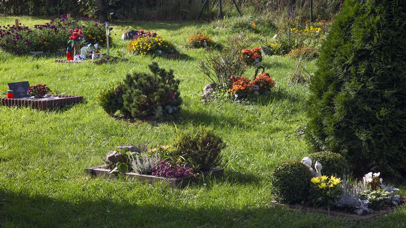 Ein Blick auf den Tierfriedhof in Rostock. 