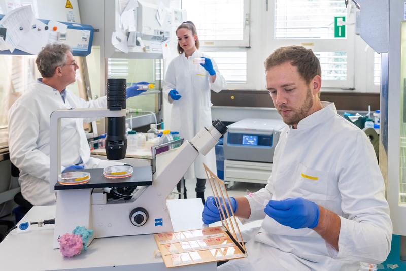 Prof. Krüger, Celina Eckfeld and Chris D. Hermann in their laboratory at the Klinikum rechts der Isar.