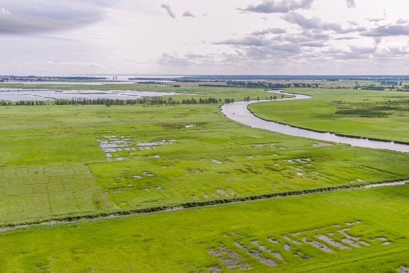 Wiedervernässte Moore im Peenetal in Mecklenburg-Vorpommern