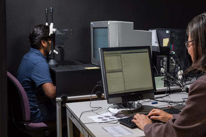 A test subject views a random-dot stereogram via a setup of mirrors.