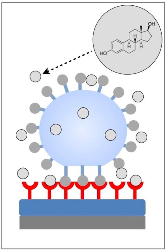 Scheme of the new detection principle.