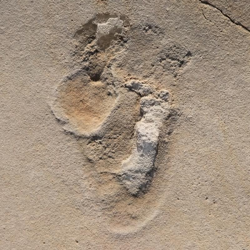 Tracks in the sand: One of over 50 footprints of predecessors of early humans identified in 2017 near Trachilos, Crete. Dating techniques have now shown them to be more than six million years old.
