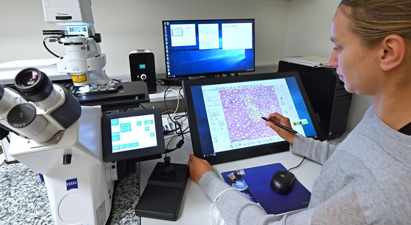 Den Forschungsteams am Universitätsklinikum Jena steht ein neu implementiertes Laser-Mikrodissektions-System zur zellgenauen Gewebeauswahl für genomische, proteomische und metabolomische Analysen zur Verfügung. 