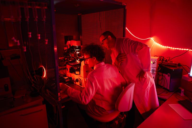 Edoardo Bertero (links) und Michael Kohlhaas an der Single-Cell-Force-Anlage im Deutschen Zentrum für Herzinsuffizienz Würzburg (DZHI).