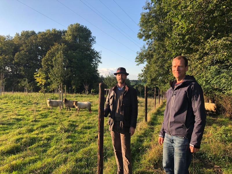 Professoren Jens Gebauer (links) und Dietrich Darr von der Hochschule Rhein-Waal begutachten eine neu angelegte Streuobstwiese in Kleve