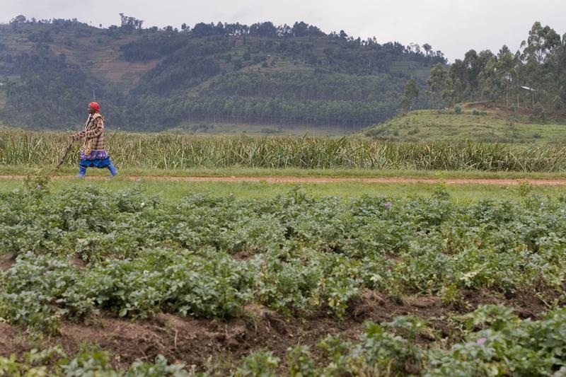 A Memorandum of Understanding between FAO and Leibniz Center for Agricultural Landscape Research (ZALF) will strengthen evidence-based actions to improve agricultural landscapes.