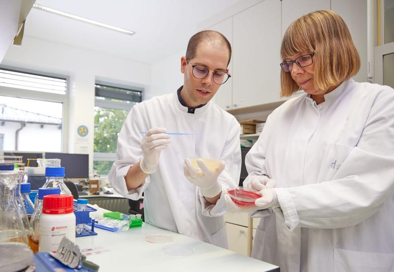 Michael Hort und Prof. Dr. Gabriele Bierbaum betrachten eine Anzuchtplatte mit dem resistenten Staphylococcus aureus-Stamm. 
