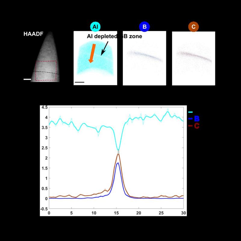 Correlative atom probe tomography – transmission electron microscopy experiments reveal the enrichment of boron (B) and carbon (C), but a depletion of aluminium (Al). These results are contradictory to previous theoretical studies.