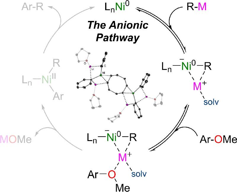 Anionisches Nickel