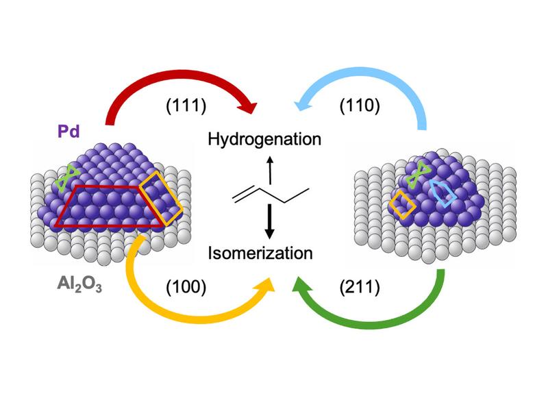 Palladium Nanokristalle auf Aluminiumoxid: Manche Facetten ermöglichen die Isomerisierung von 1-Buten zu 2-Buten, andere hingegen die Hydrierung zu Butan.