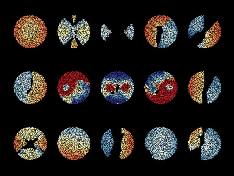 Klassifizierungs-Vorgang mit dem Yin-Yang-Datensatz auf dem Chip. Die einzelnen Symbole veranschaulichen die Verzögerungen bei den Spikezeiten der verschiedenen, zur Klassifizierung genutzten Neurone.