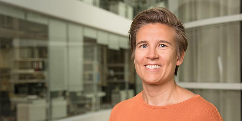 Sara Wickström is a new director at the Max Planck Institute for Molecular Biomedicine