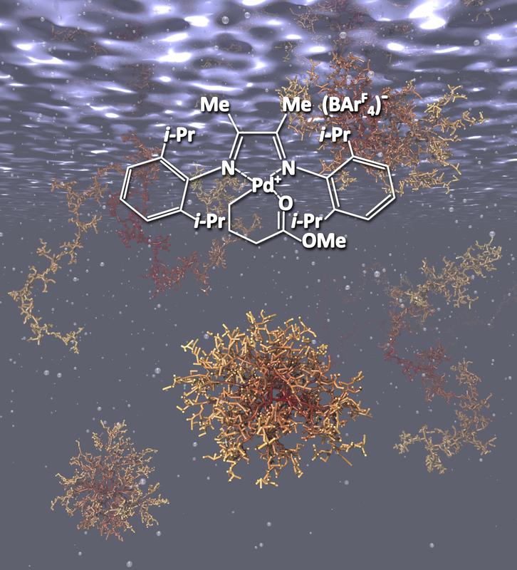 Simulationsschnappschüsse verschiedener dendritischer Topologien von Polyethylen, die mit der Chain-Walking-Synthese unter Verwendung des Pd-Katalysators zugänglich sind.