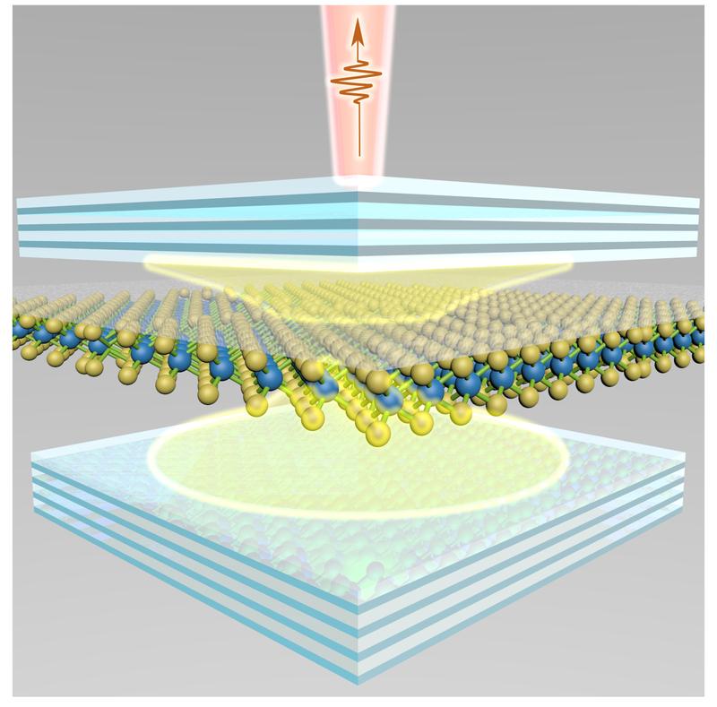 Einlagige Kristalle (Bildmitte), die zwischen „Spiegeln“ platziert sind, lassen sich bei Raumtemperatur dazu bringen, Laserlicht zu emittieren. 