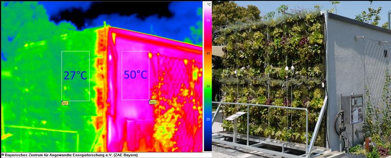 Abb. 1: Thermografieaufnahme (rechts) am Südhaus der Klimaforschungsstation, ZAE Bayern in Würzburg. @ZAE Bayern