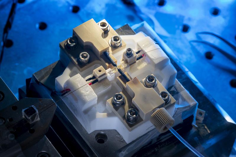 Handlich und revolutionär: Einen neuartigen Resonator, der immer kleinere Nanoteilchen sichtbar macht, hat die Physikerin Larissa Kohler am KIT entwickelt. (Foto: Markus Breig, KIT) 