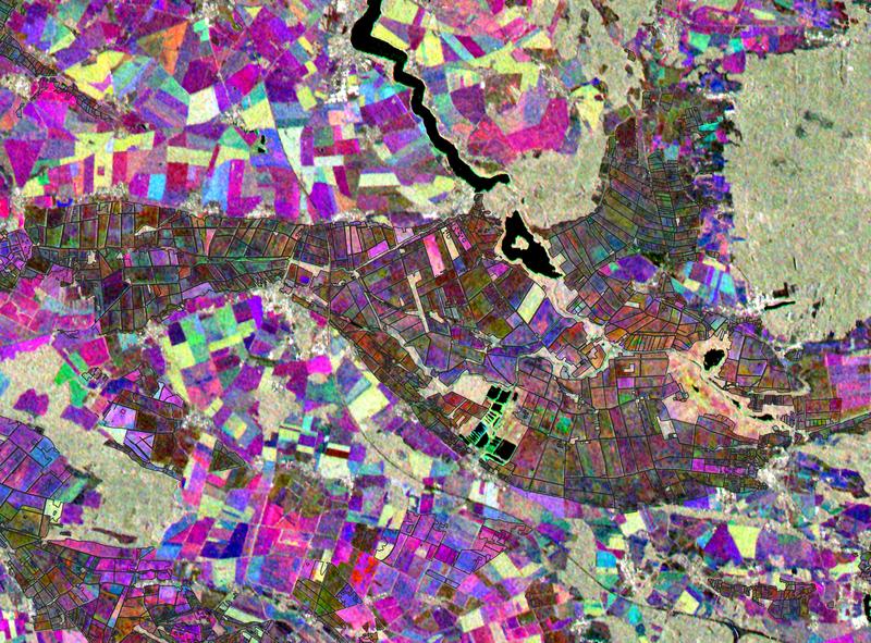 Sentinel-Satelliten-Aufnahmen vom Rhinluch, Brandenburg. Die Farbunterschiede innerhalb der Moorflächen spiegeln den Feuchtezustand der Moorböden wider und dienen als Arbeitsgrundlage zur Entwicklung von Methoden für das fernerkundliche Moormonitoring.