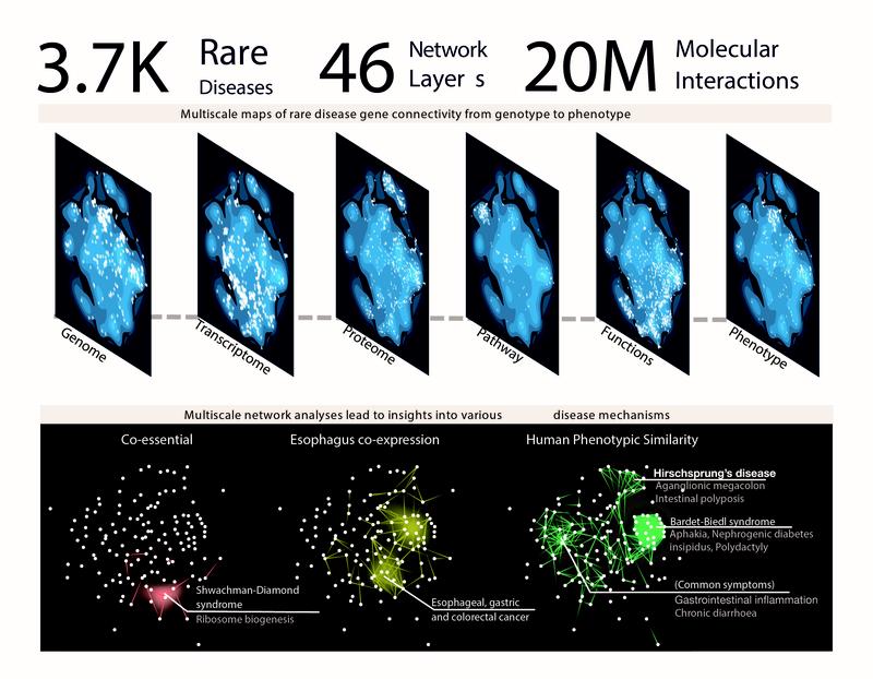 Graphical abstract