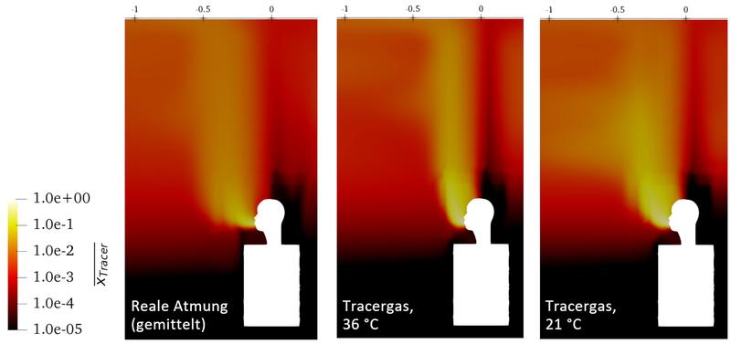 Zeitlich gemittelte Aerosolkonzentration bei realer Atmung (links), bzw. Tracergaskonzentration für verschieden temperierte Tracergase beim kontinuierlichen Einströmen (mitte, rechts). 