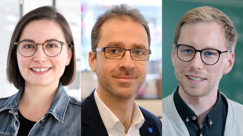 Marion Koelle, Martin Bleichner und Ingo Schoolmann erhalten Preise der Universitätsgesellschaft Oldenburg.