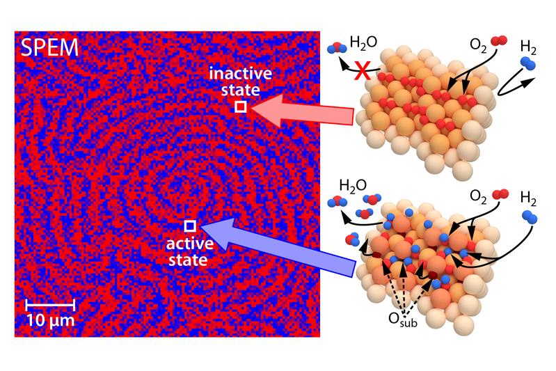 Lokale Musterbildung der oszillierenden Wasserstoffoxidation auf Rhodium: 