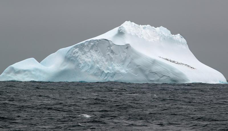 Iceberg in Antarctica