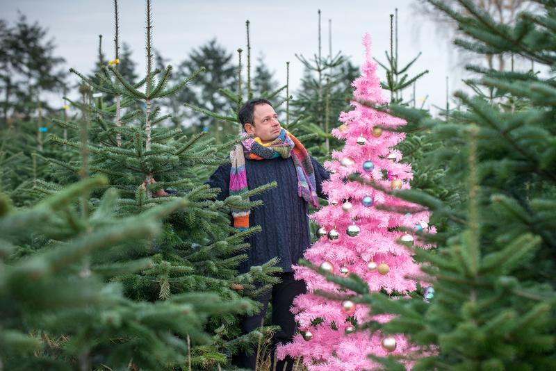 Zielkonflikte, Chancen und Grenzen einer nachhaltigeren Lebensweise: Prof. Dr. Hans-Josef Endres von der Leibniz Universität Hannover spricht beim Herrenhausen Late über das Dilemma mit dem Plastik. (Foto: Isabel Winarsch für VolkswagenStiftung)