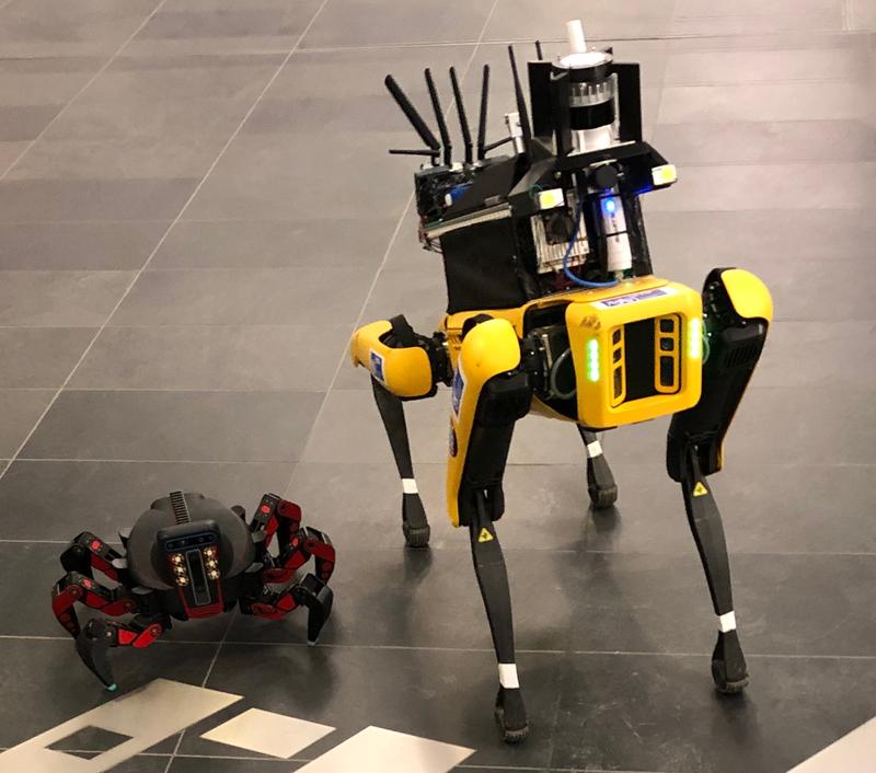 Die zwei eingesetzten Roboter der TU Prag. Hexapod (links) und eine angepasste Version eines Spot-Roboters von BostonDynamics.