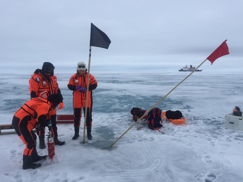Das Forscher*innen-Team rund um Erstautorin Julia Ehrlich bei Meereiskernbohrungen in der Arktis. 