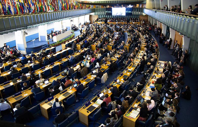 New global biodiversity goals are currently being negotiated. The photo shows the Open-ended Working Group on the Post-2020 Global Biodiversity Framework, Feb. 2020 in Rome.