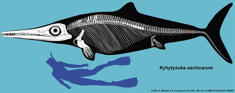 The newly described fish dinosaur genus Kyhytysuka sachicarum.