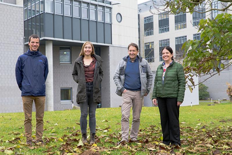 Die Autorinnen und Autoren (von links): Prof. Dr. Bernhard Schmitzer, Marina Eckermann, Prof. Dr. Tim Salditt und Prof. Dr. Christine Stadelmann.