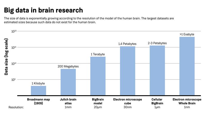 Big Data in der Hirnforschung