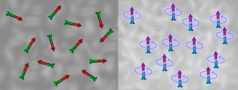 Die linke Abbildung zeigt eine ungeordnete Ansammlung von klassischen Magneten in einer stabilen Gleichgewichtskonfiguration. Auf der rechten Abbildung verhindert die Technik des Floquet-Engineering die Neuausrichtung der Magnete. 