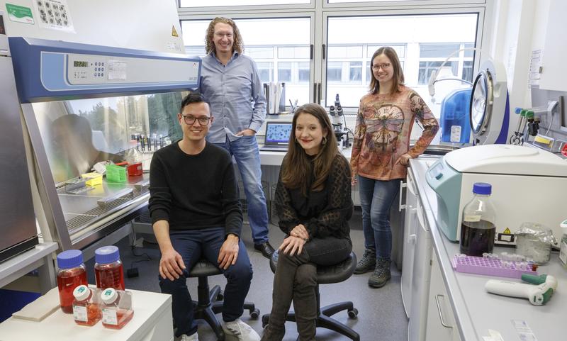 The researcher team: Robin Schumann, Eileen Bischoff (front row), Prof. Marcel Deponte and Sophie Möhring.