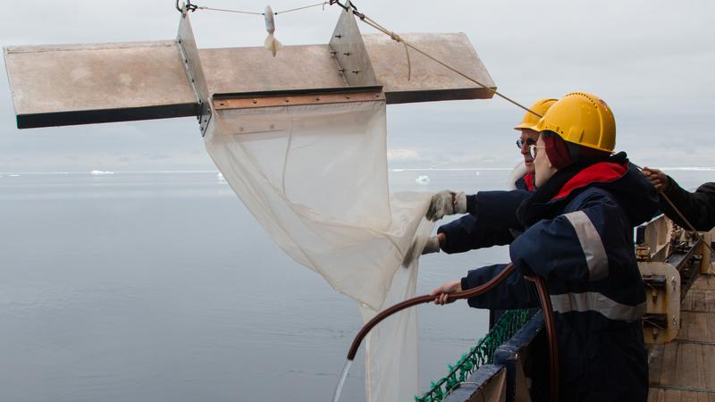 The plankton net used to sample the water surface is rinsed off before sampling to remove any particles that may have adhered beforehand. 