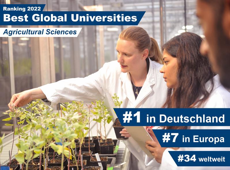 Laut Best Global Universities Ranking 2022 bleibt die Universität Hohenheim bei der Agrarforschung die Nr. 1 in Deutschland, Nr. 7 in Europa und Nr. 34 weltweit